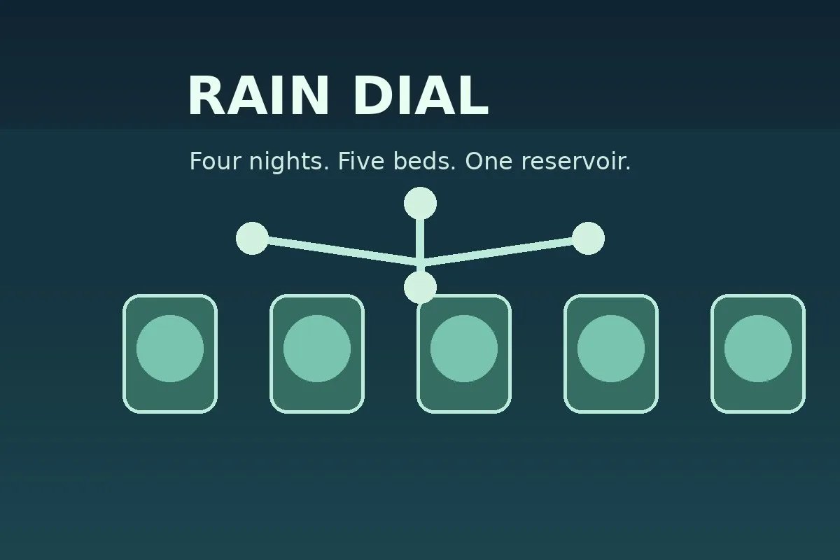 Cover art for Rain Dial
